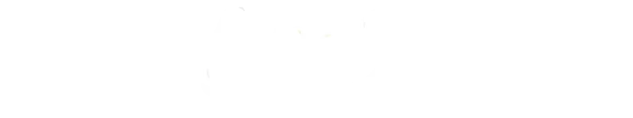 Anasa Partner