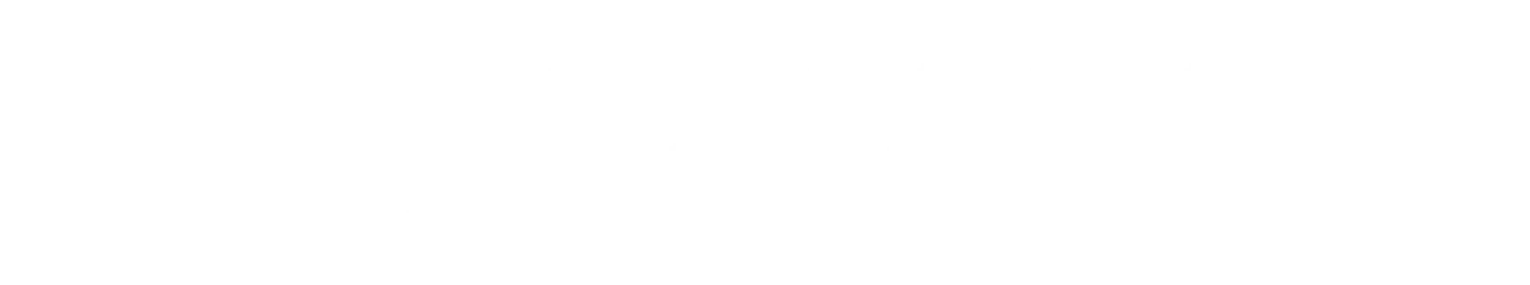 Zayed University Partner