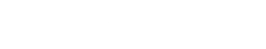 Star Importers Partner